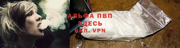 молекула духа Волосово