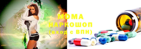 индика Медвежьегорск