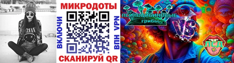 Псилоцибиновые грибы прущие грибы  KRAKEN ТОР  Гдов  купить наркоту 